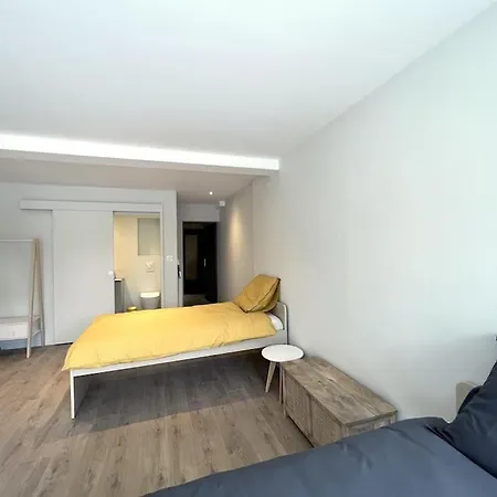 Maison 15 Personnes Peripherie De Clermont-ferrand * Romagnat
